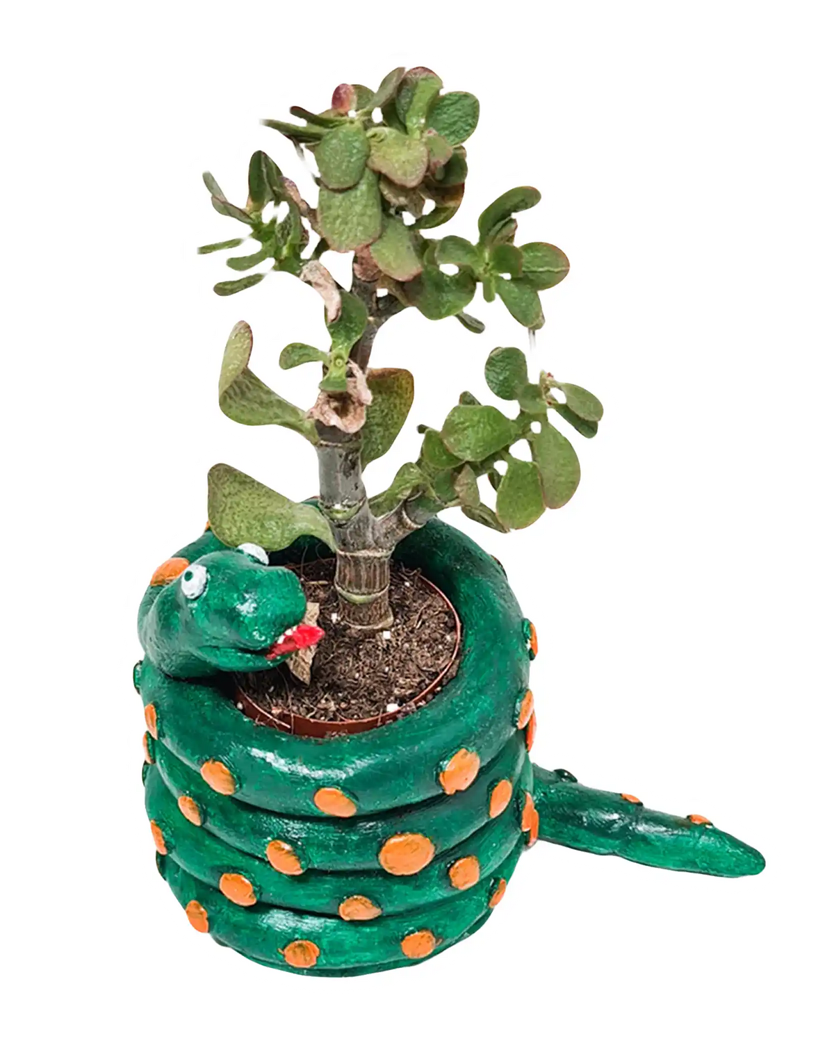 Green snake-shaped planter banner for Sculpd AU kids kits listicle